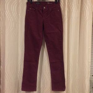 Brand new J Crew Matchstick